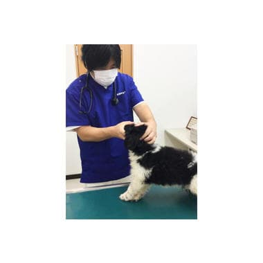 海 動物病院 足立医院 3