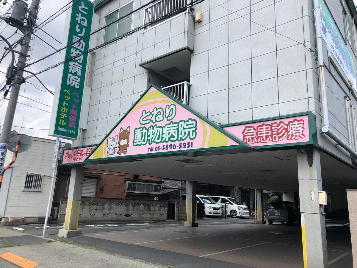 とねり動物病院