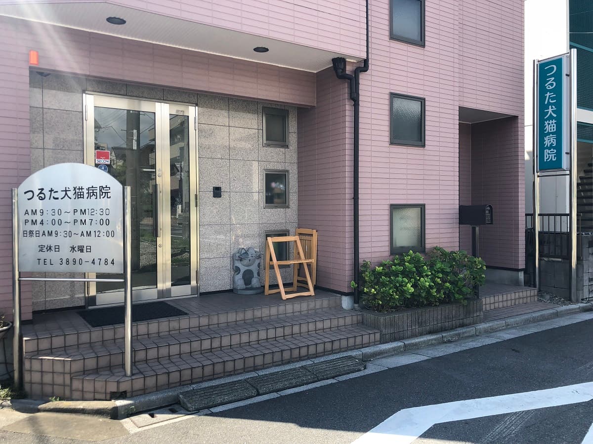 つるた犬猫病院