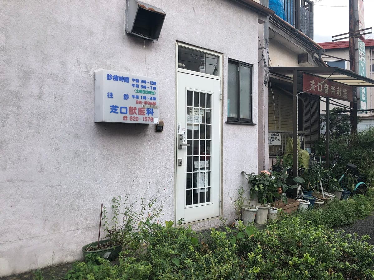 芝口獣医科医院