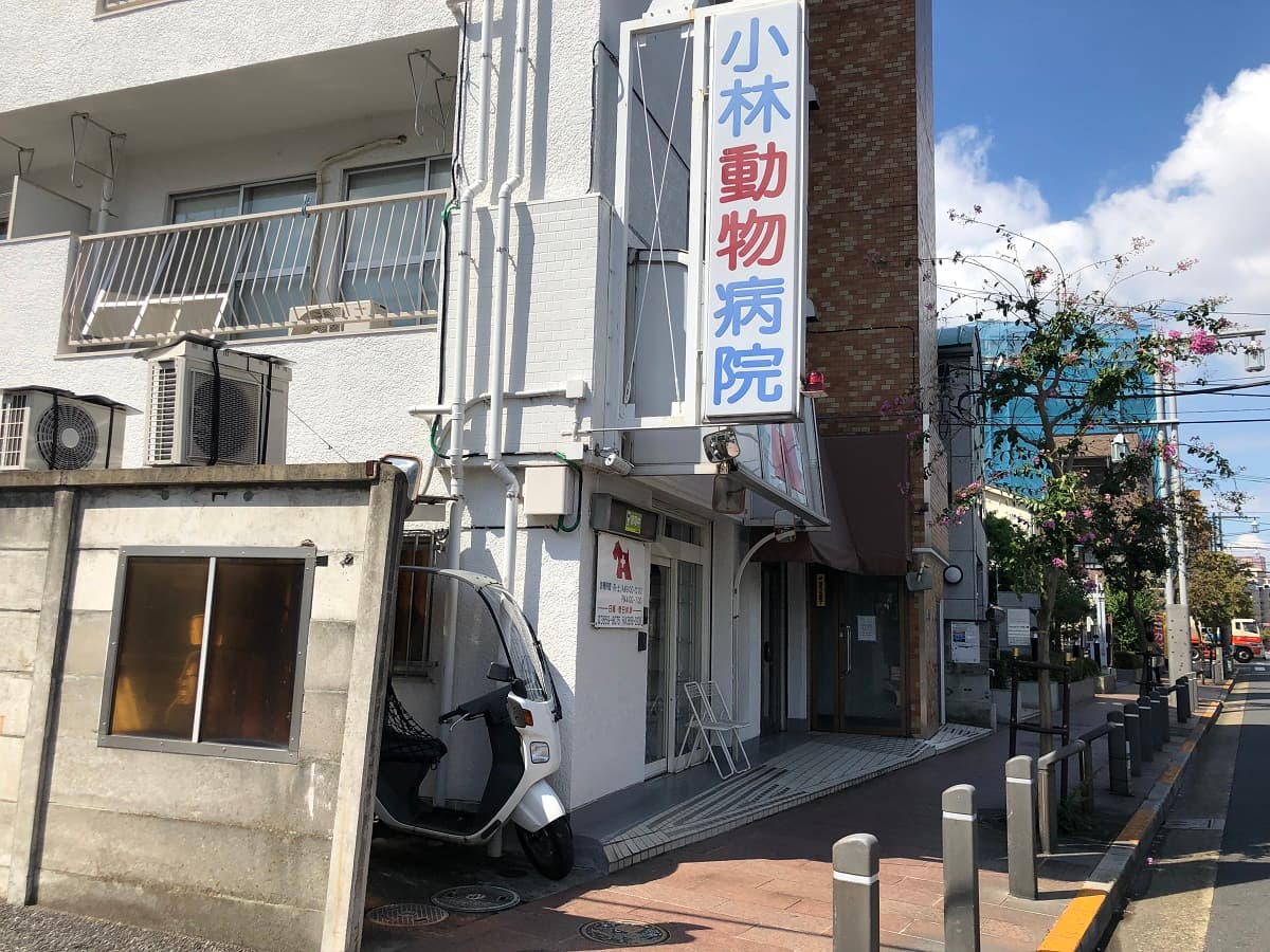 小林動物病院