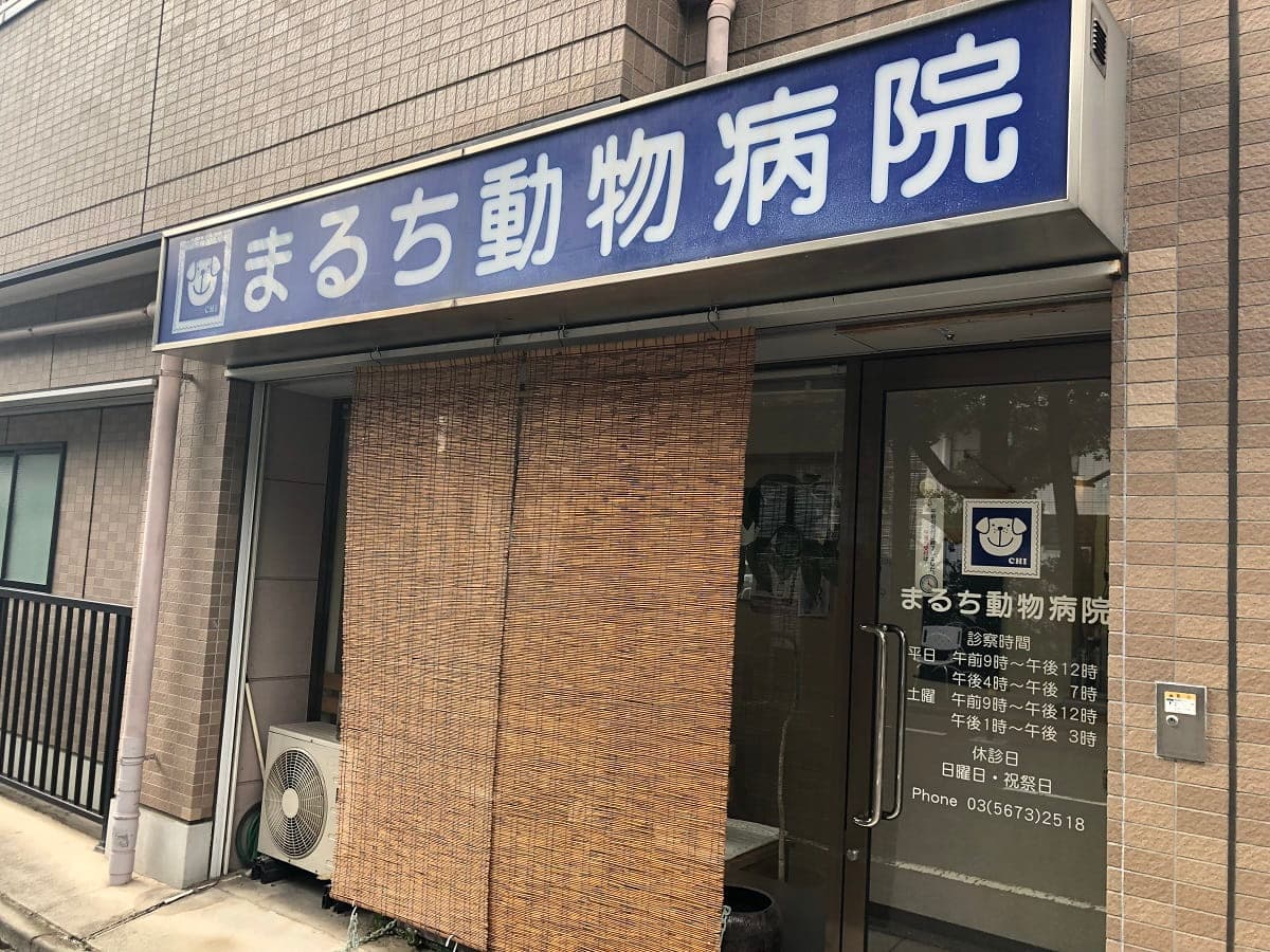 まるち動物病院