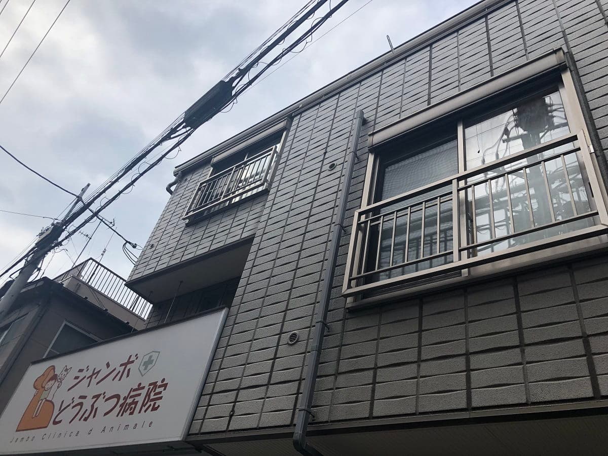 ジャンボどうぶつ病院