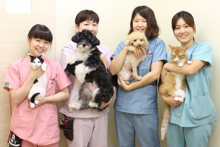なないろ動物病院