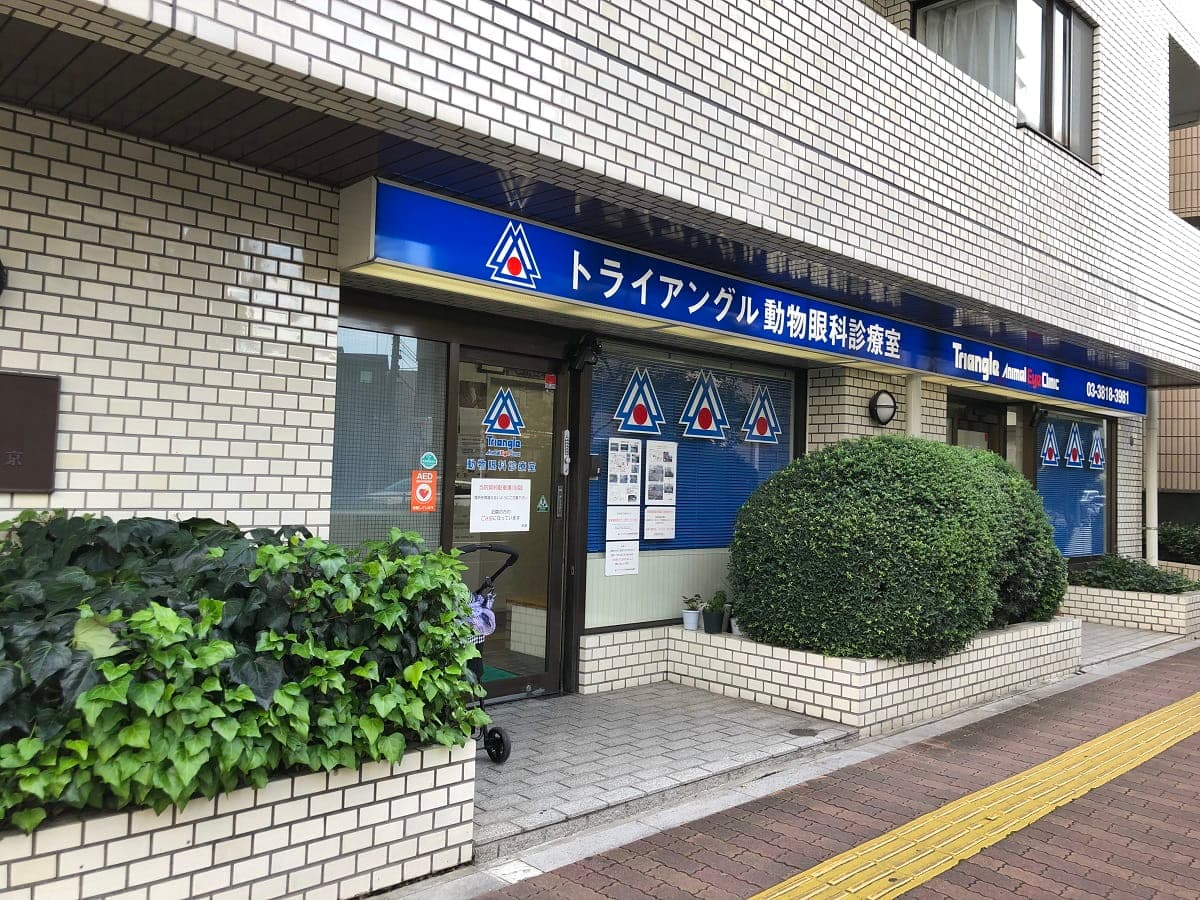 トライアングル動物眼科診療室