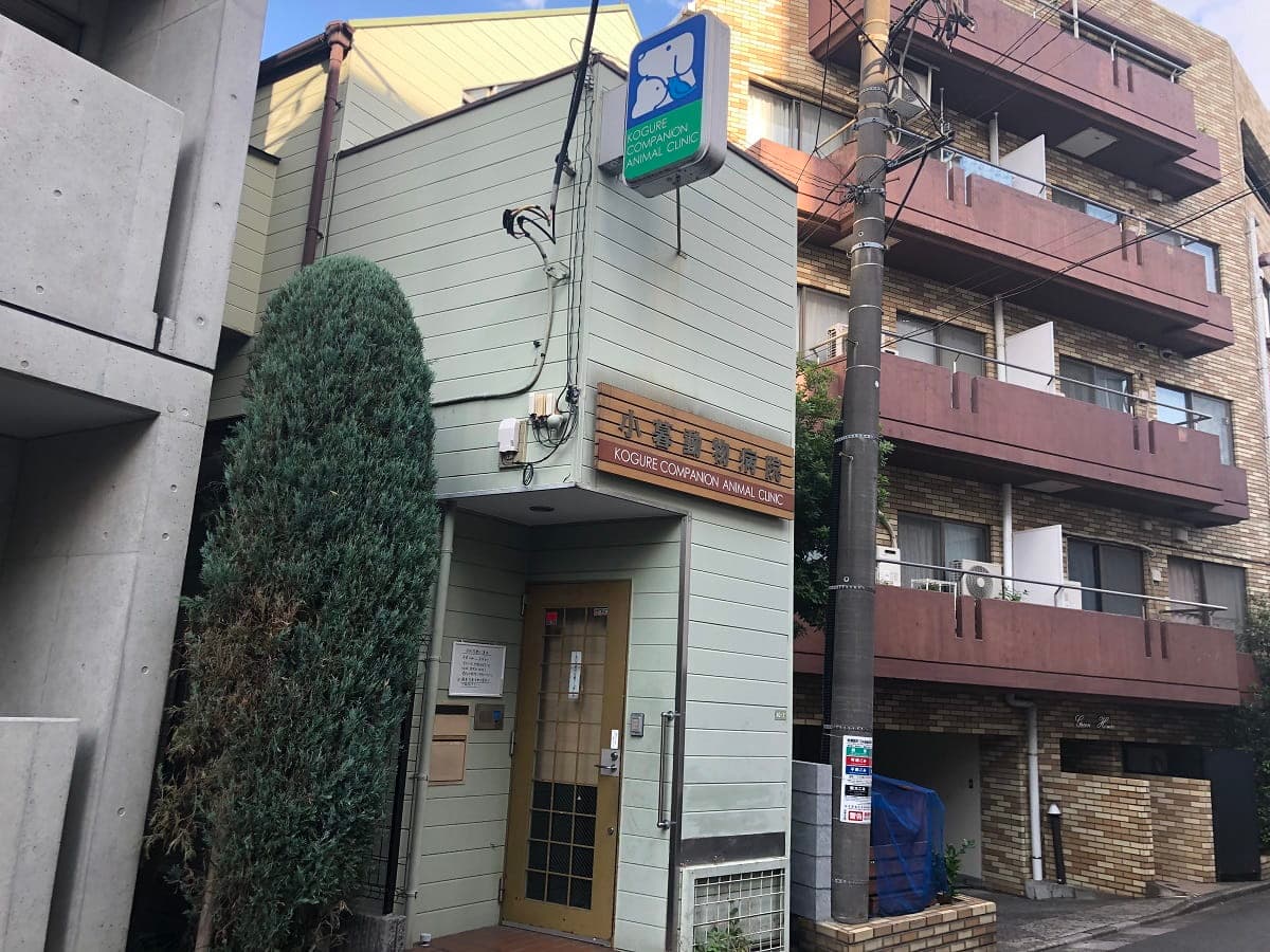 小暮動物病院