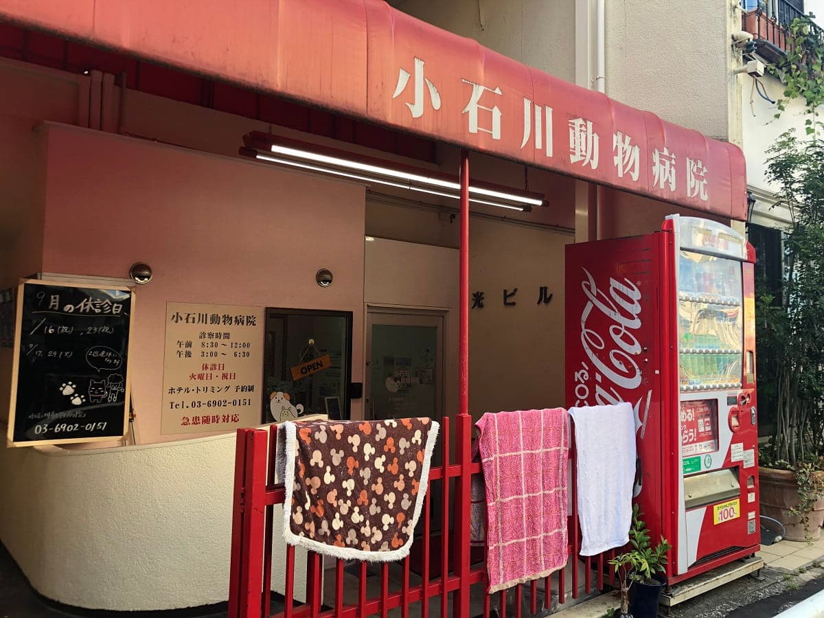 小石川動物病院