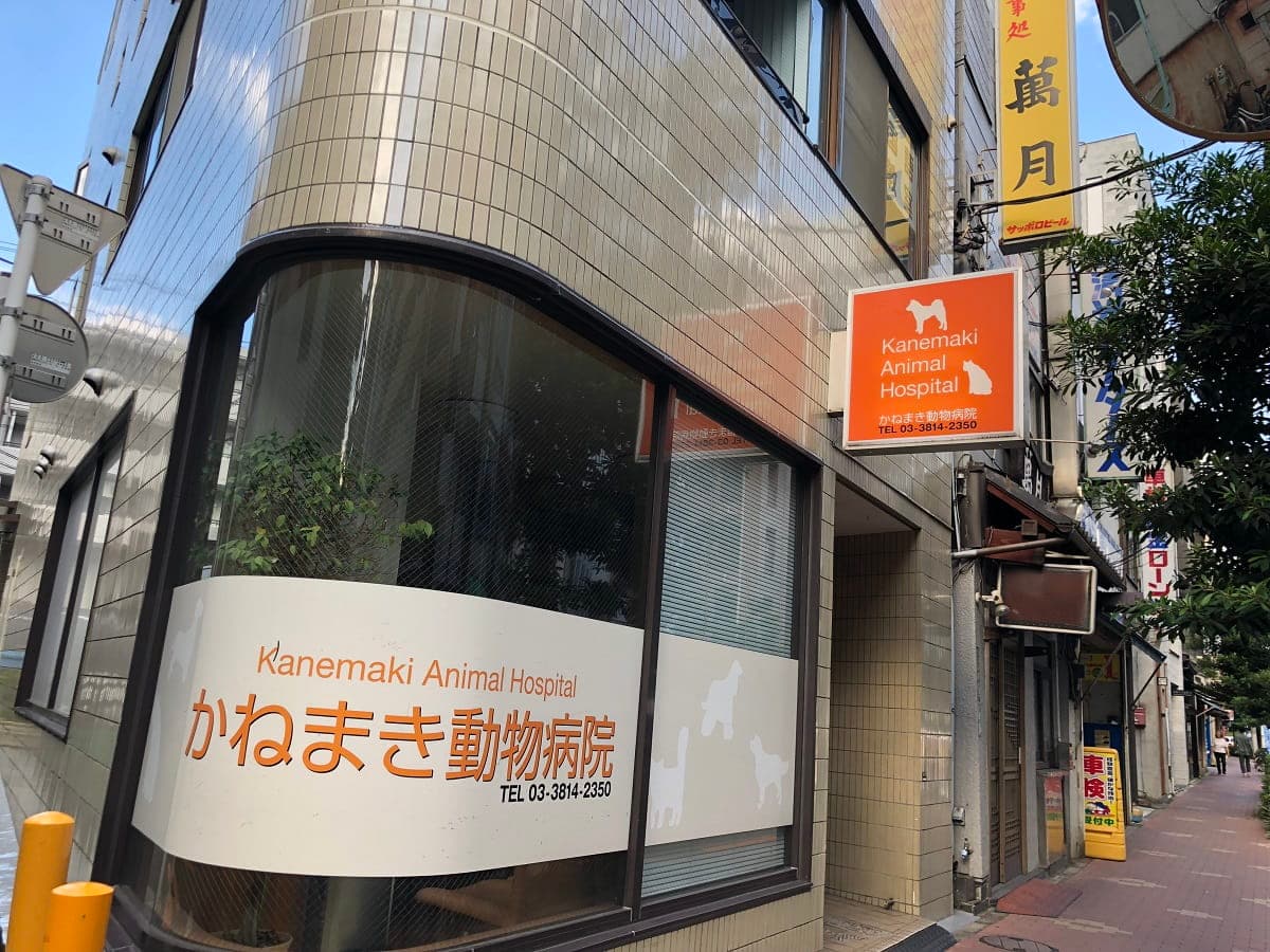 かねまき動物病院