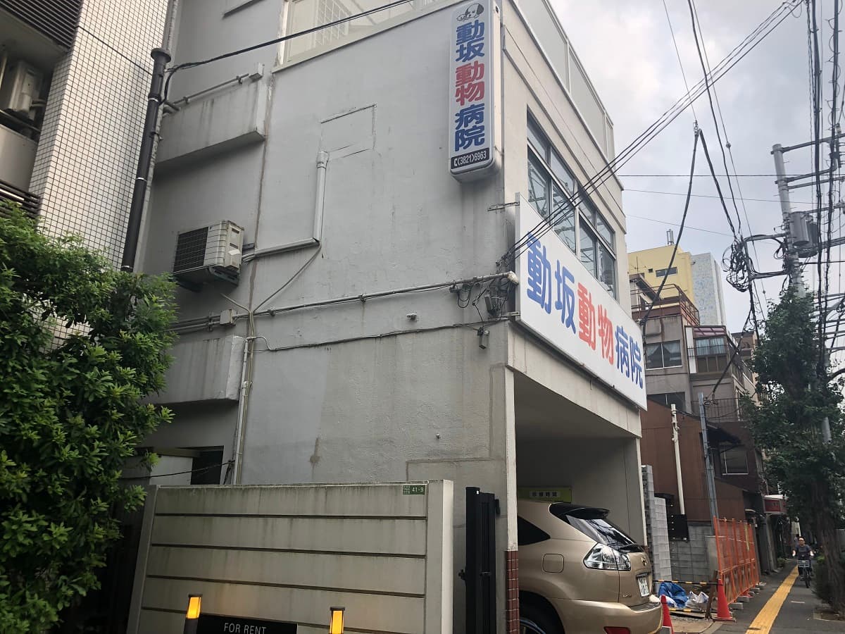 動坂動物病院