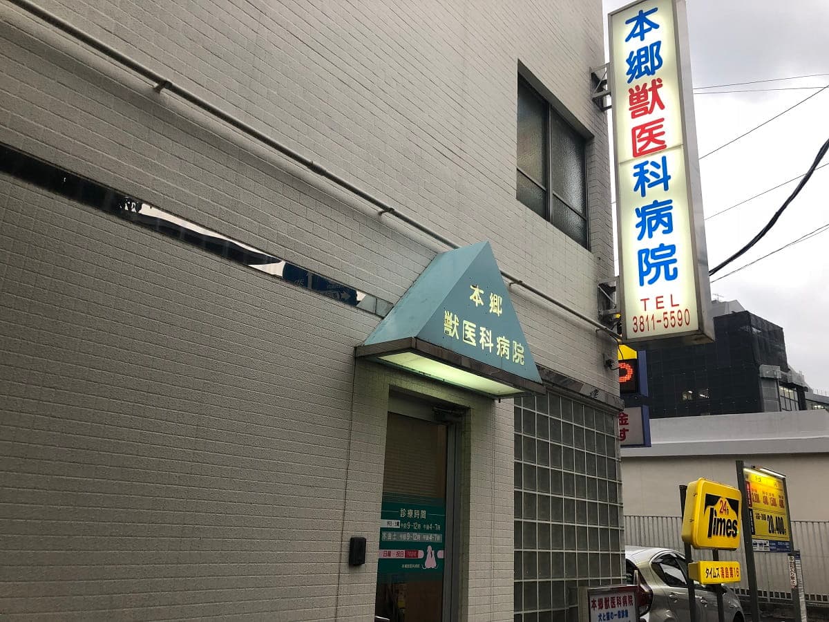 本郷獣医科病院