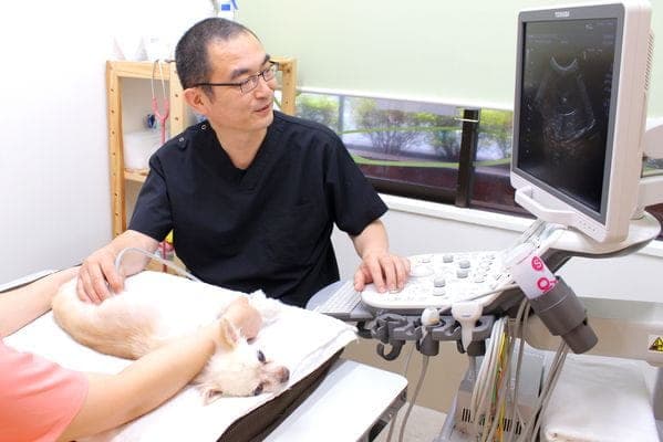 まつき動物病院
