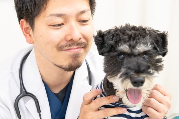 靖国通り動物病院 【2025年5月11日開院】