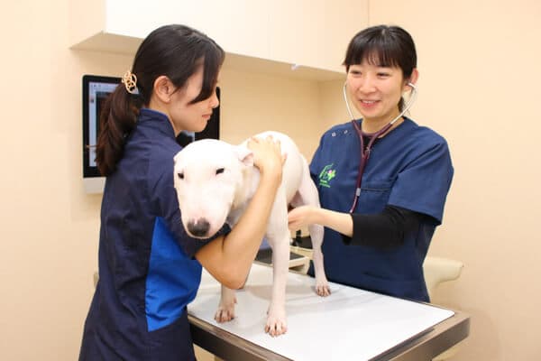 光が丘動物病院 月島クリニック