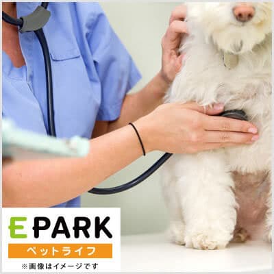 井元動物病院