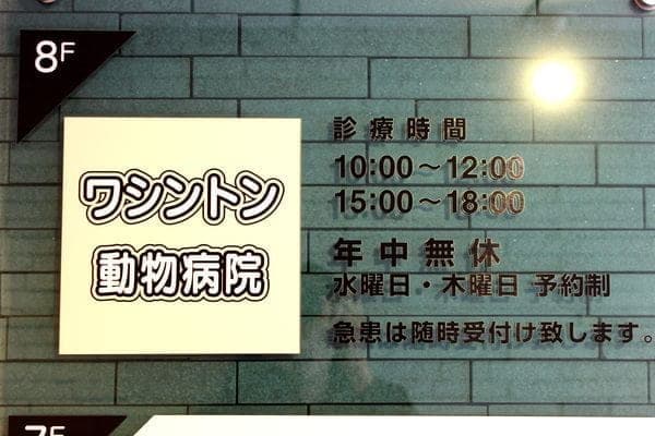 ワシントン動物病院