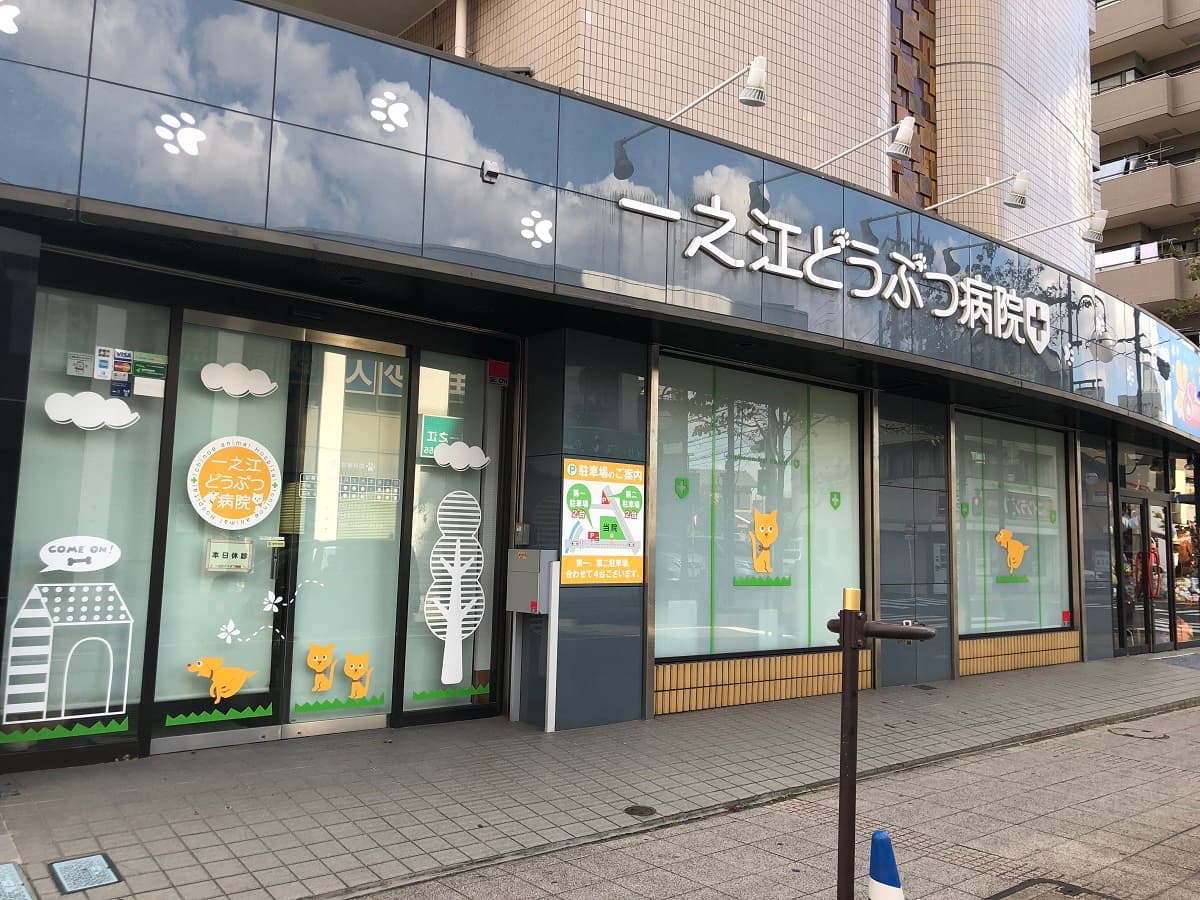 一之江どうぶつ病院