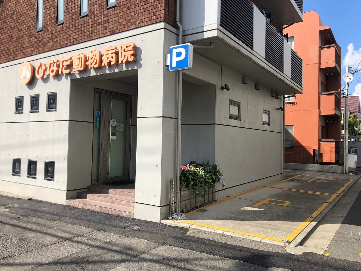 ひなた動物病院