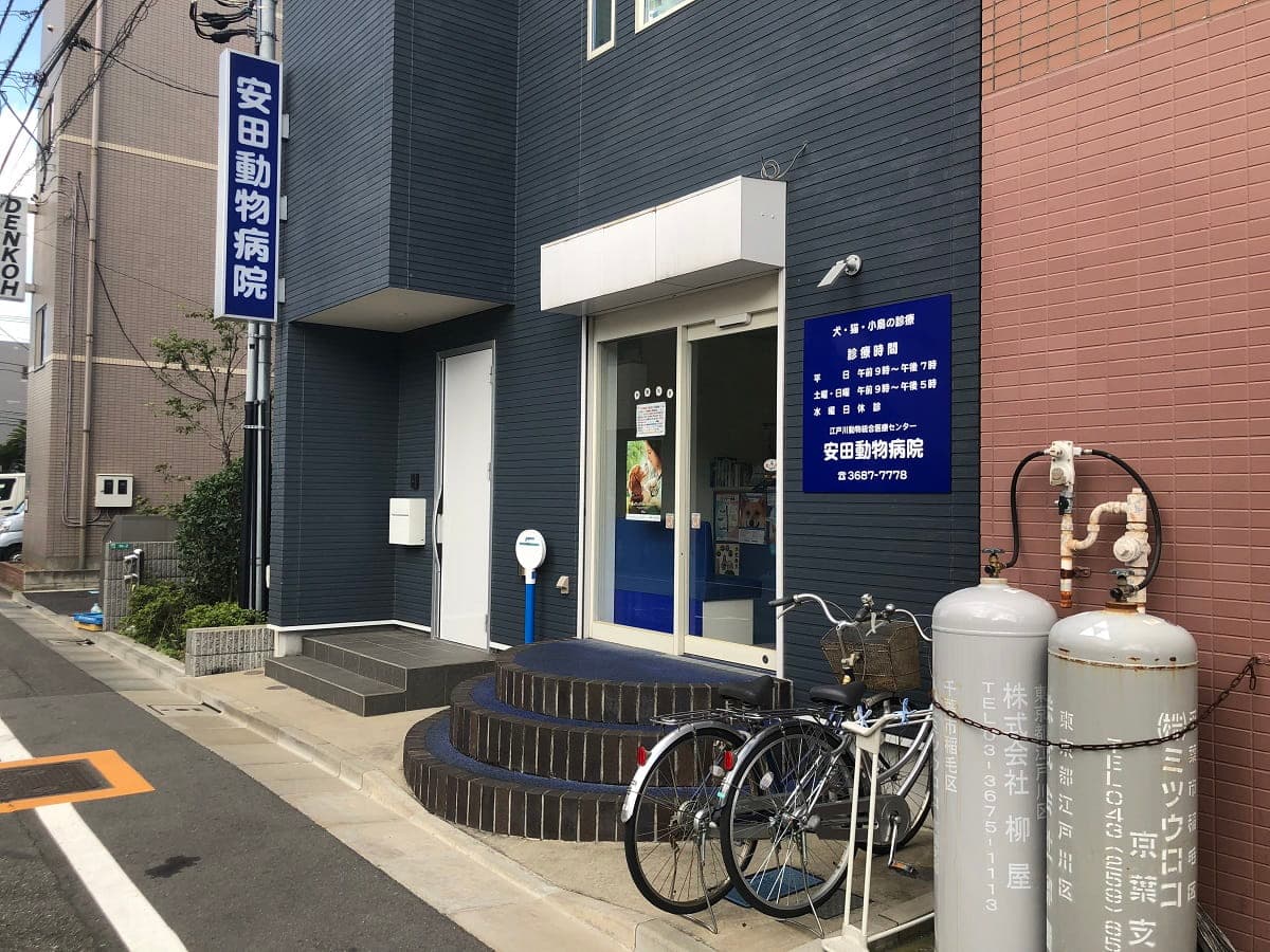 安田動物病院