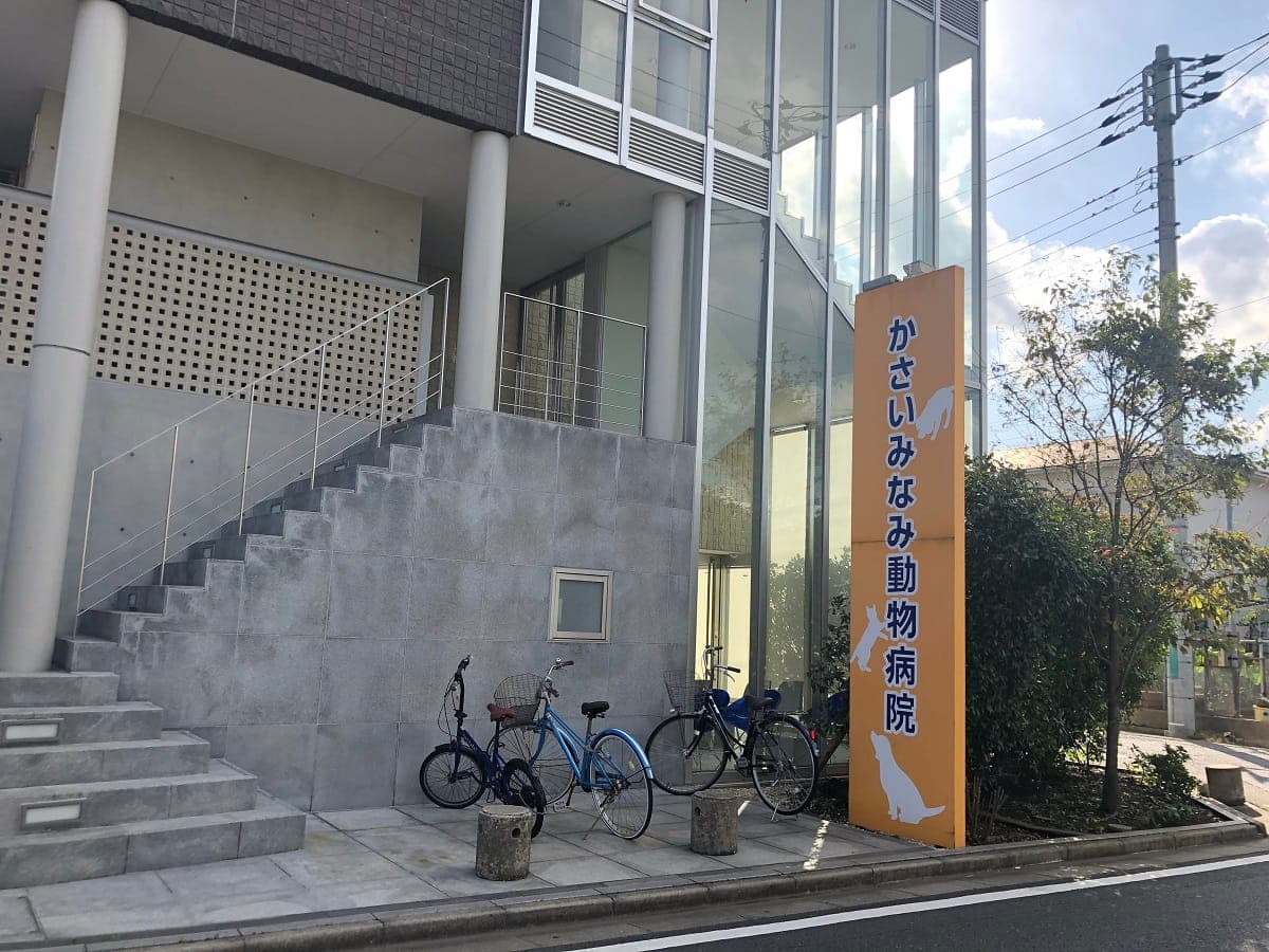 かさいみなみ動物病院