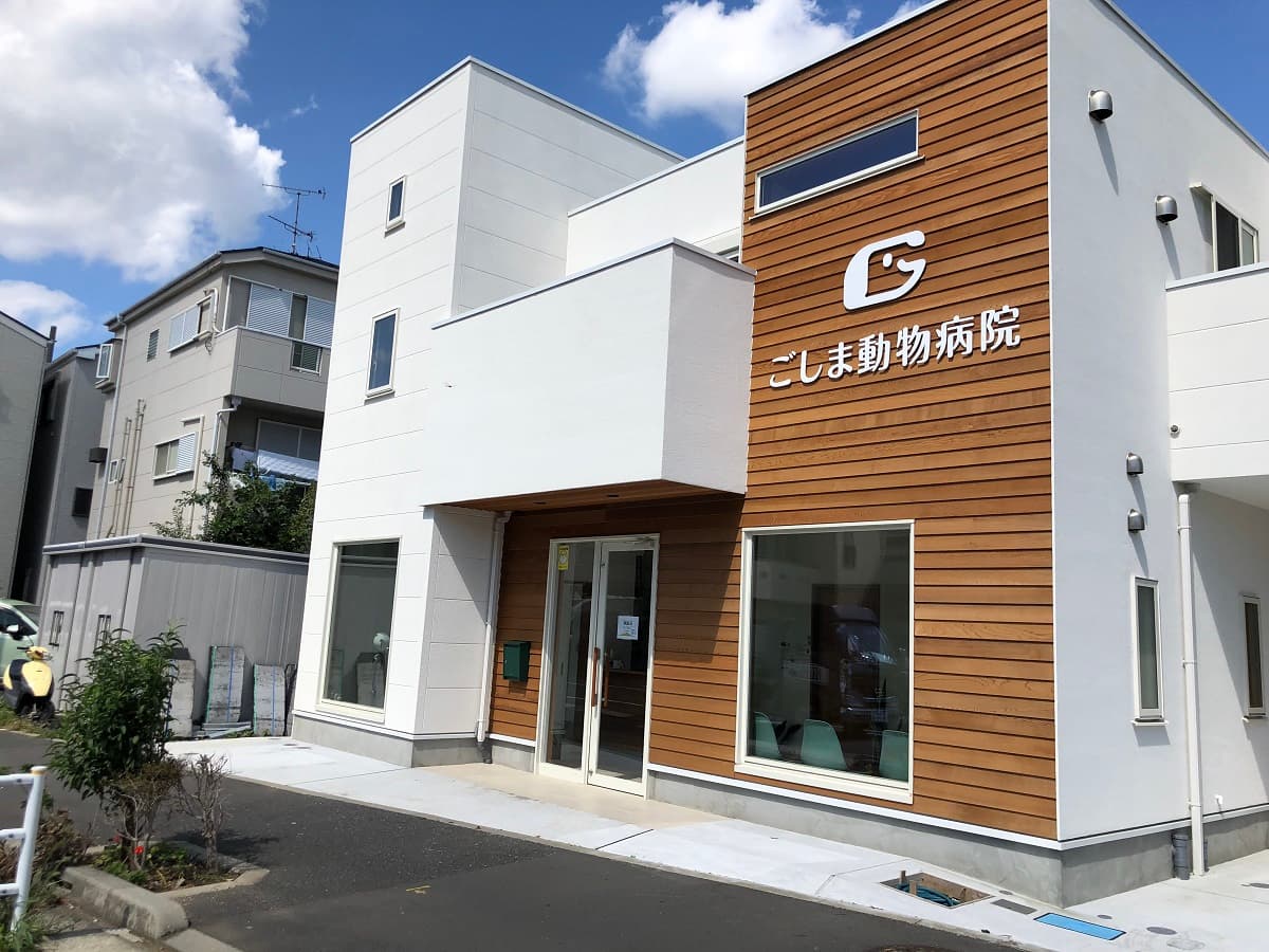 ごしま動物病院