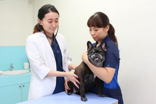 光が丘動物病院とくまるクリニック