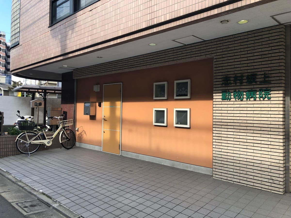 志村坂上動物病院