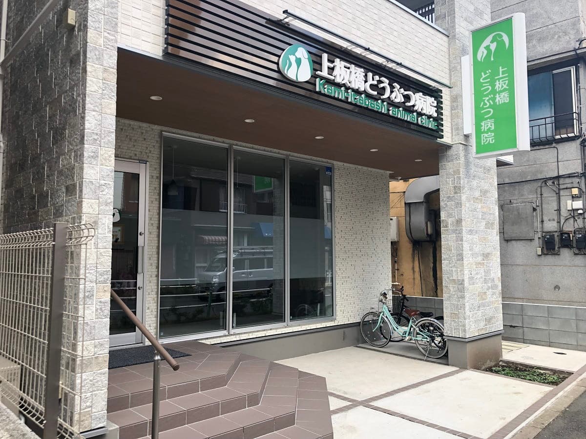 上板橋どうぶつ病院
