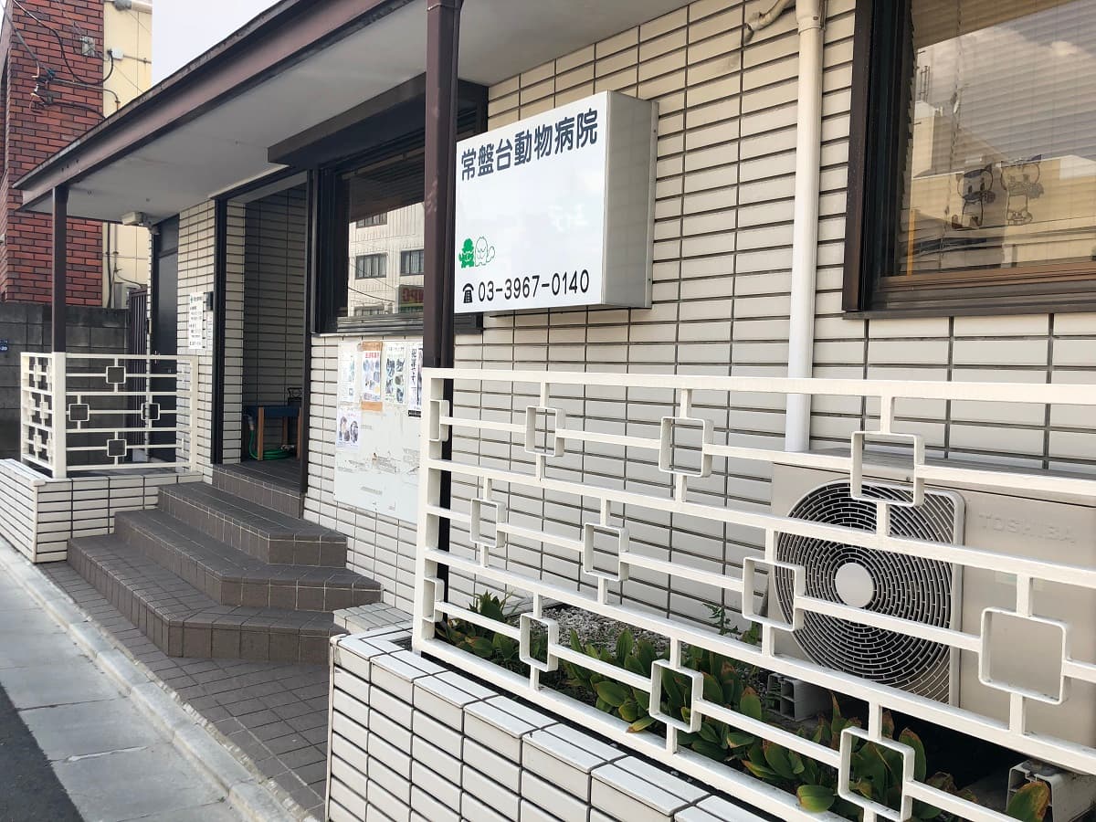 常盤台動物病院