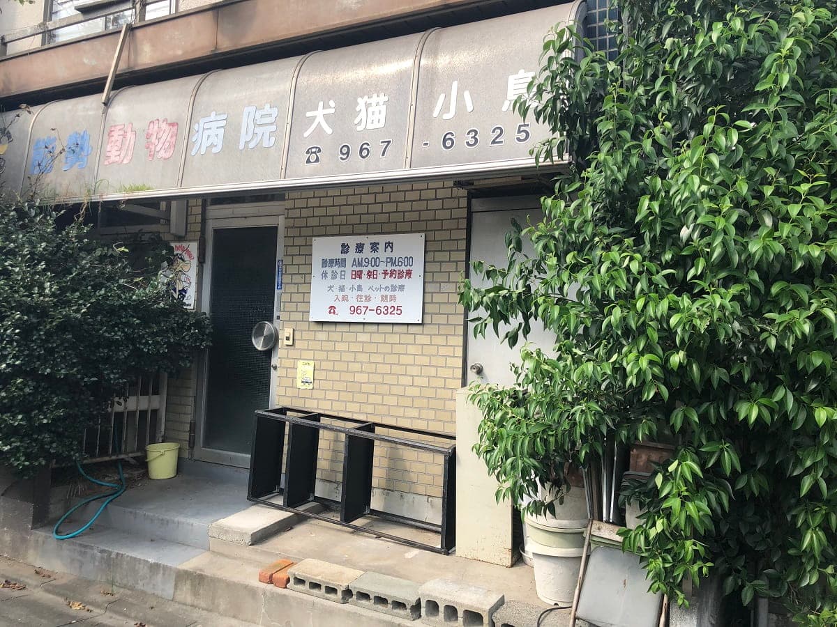 能勢動物病院