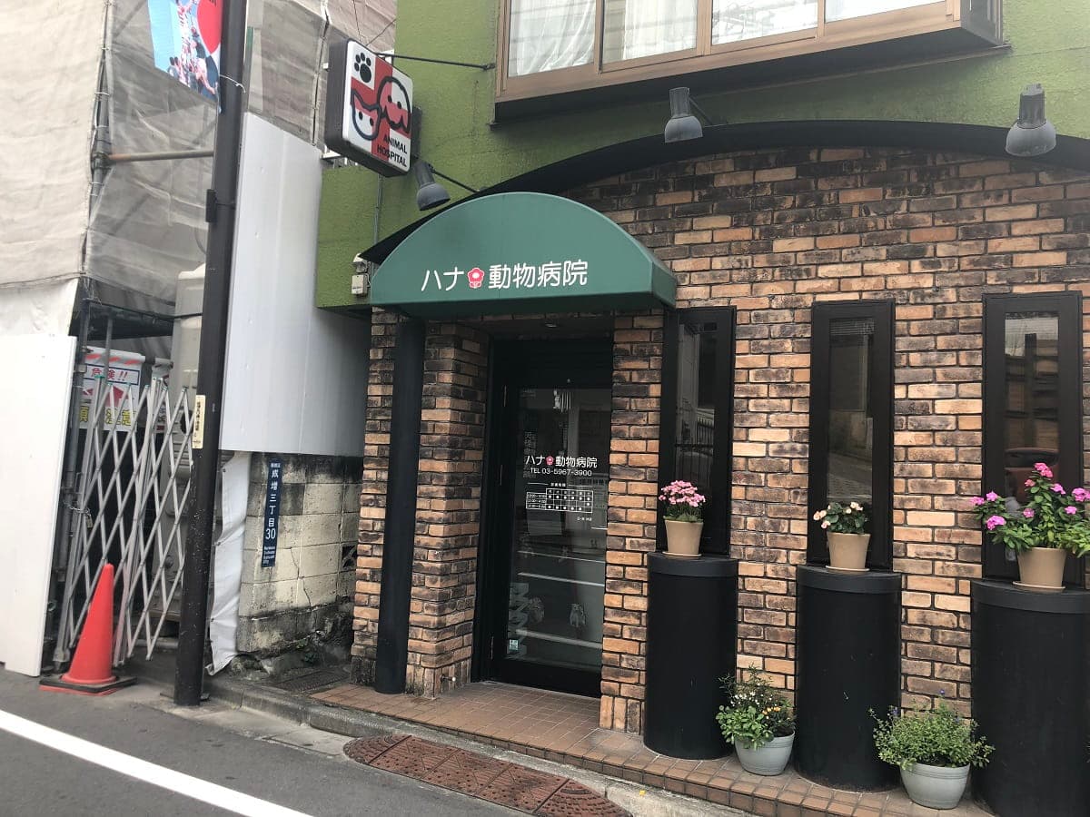 ハナ動物病院