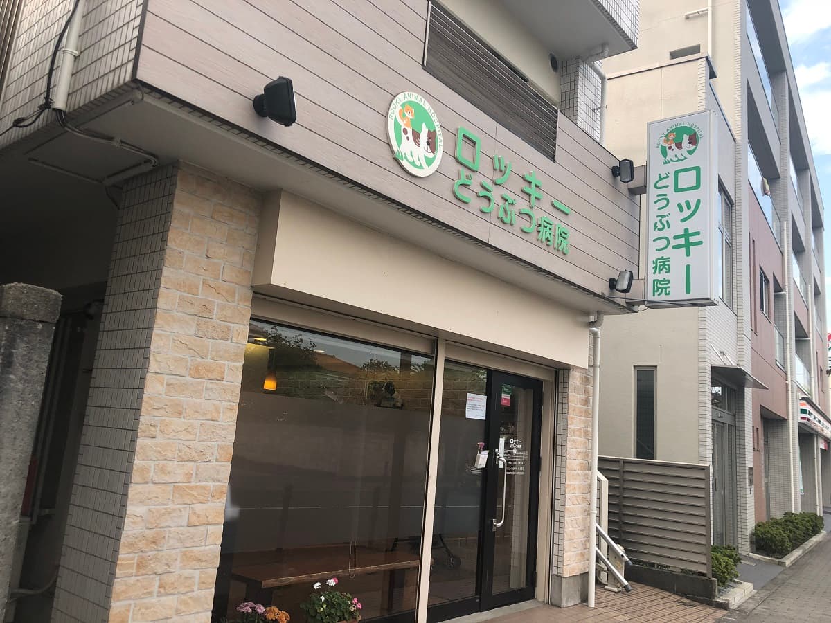 ロッキーどうぶつ病院