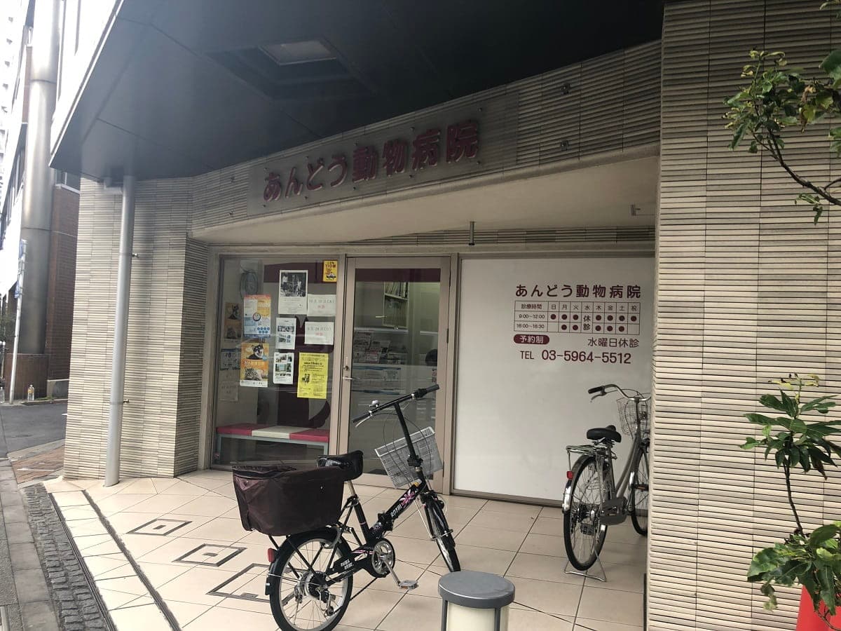 あんどう動物病院