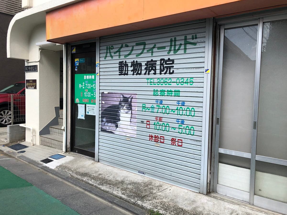 パインフィールド動物病院