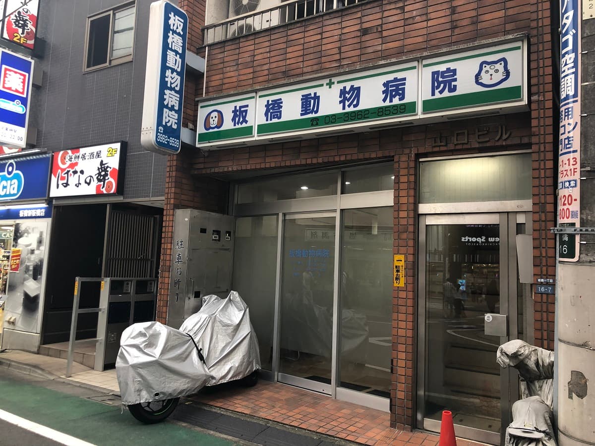 板橋動物病院