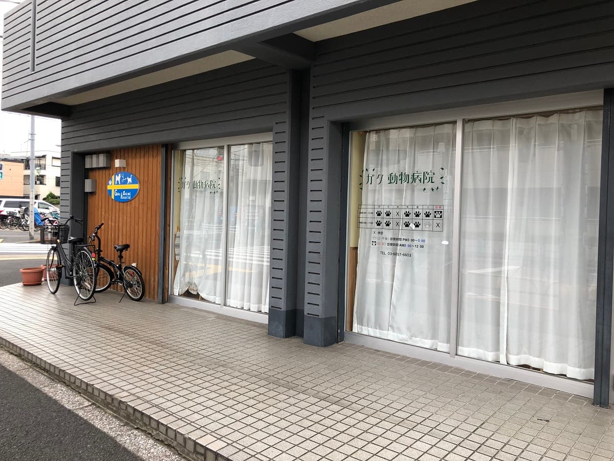 ガク動物病院