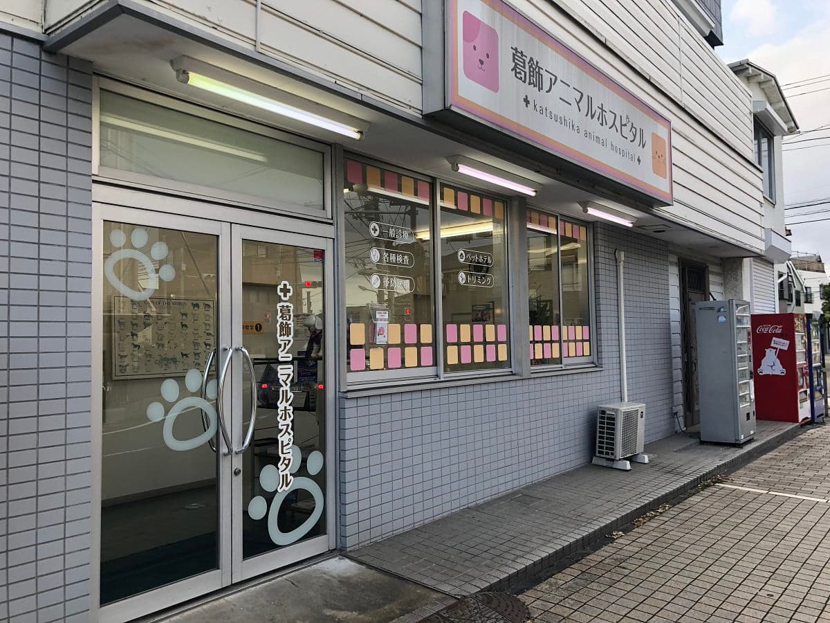 葛飾アニマルホスピタル