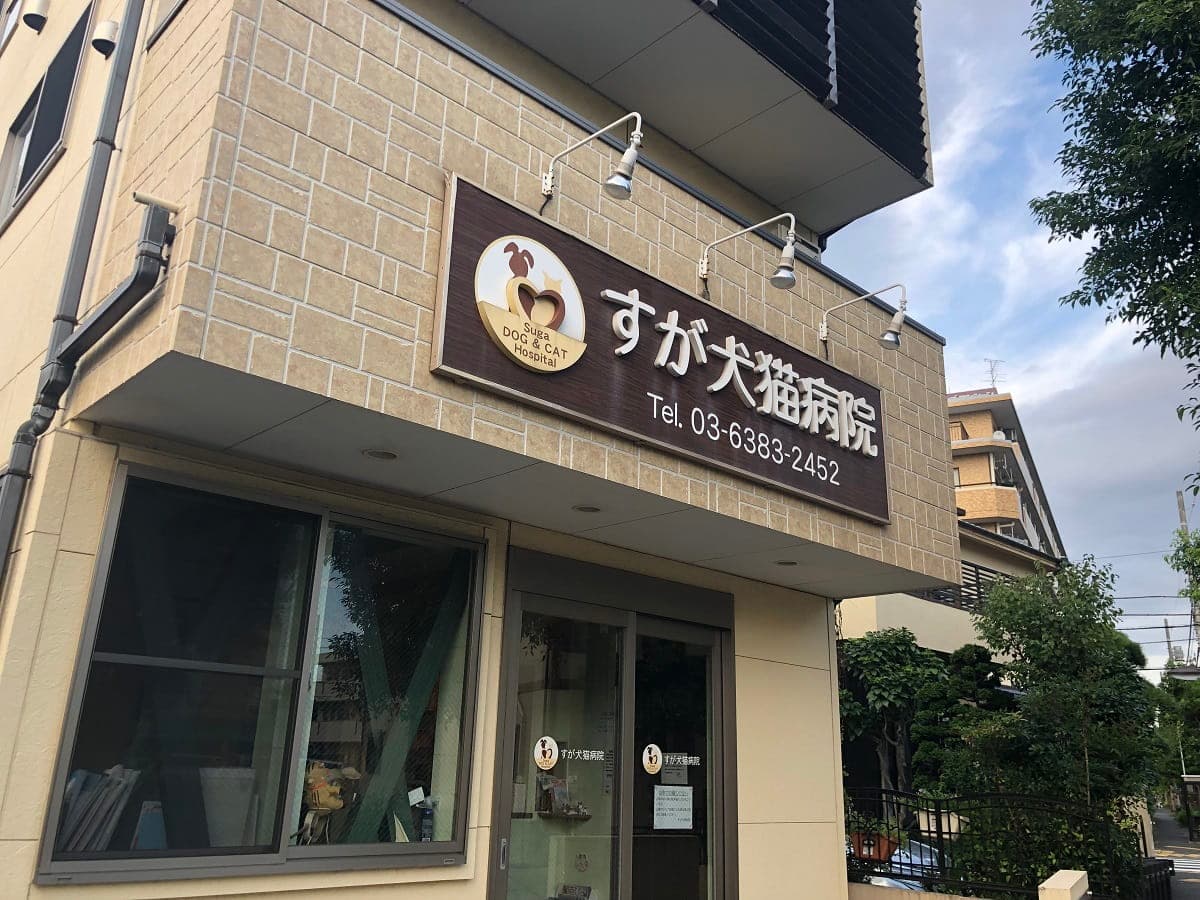 すが犬猫病院