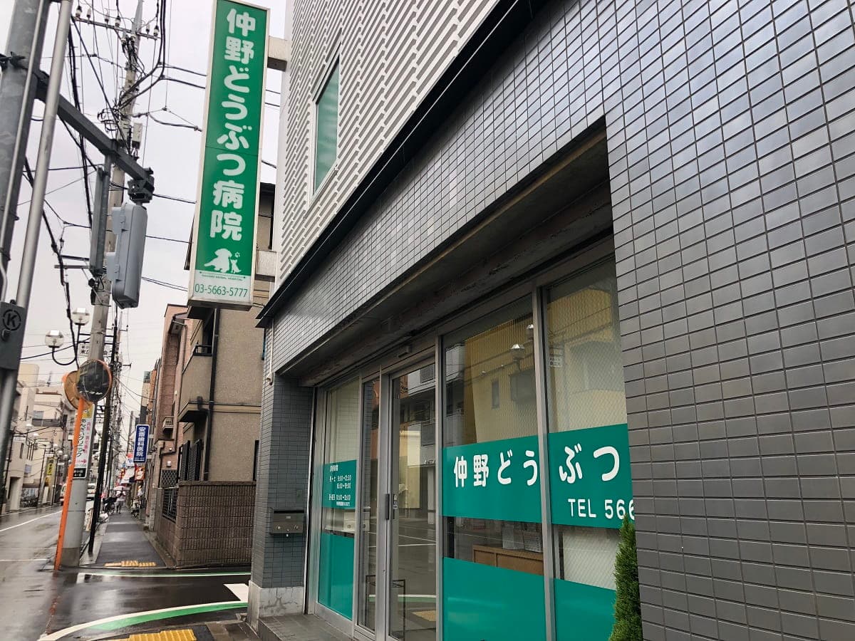 仲野どうぶつ病院