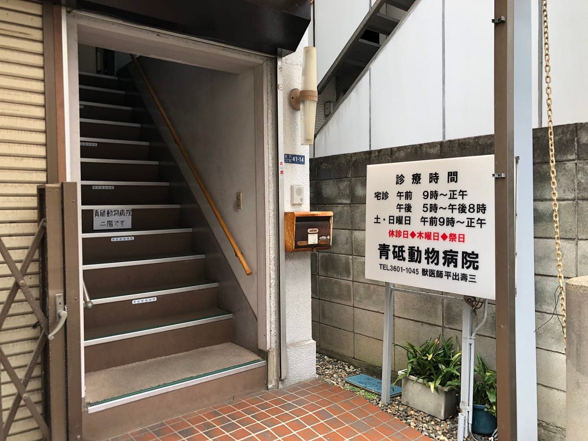 青砥動物病院