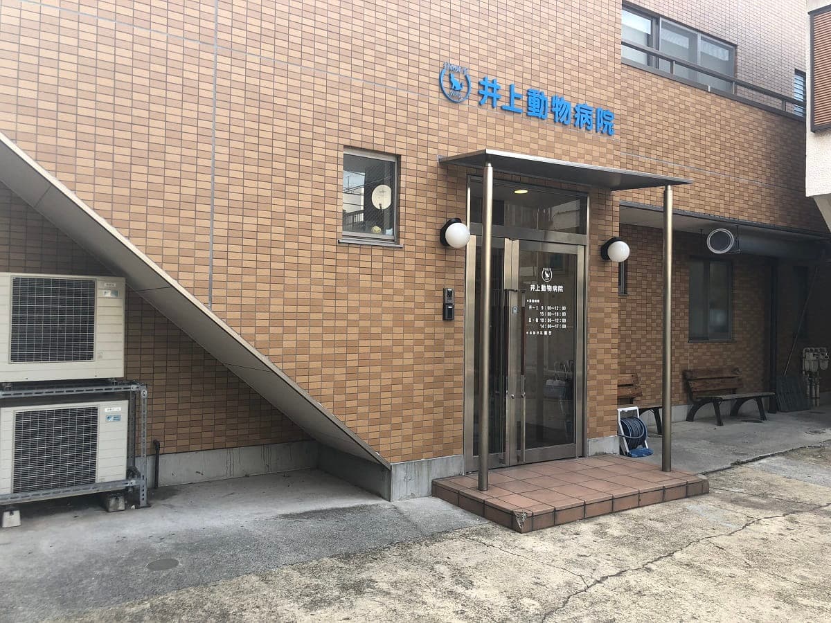 井上動物病院