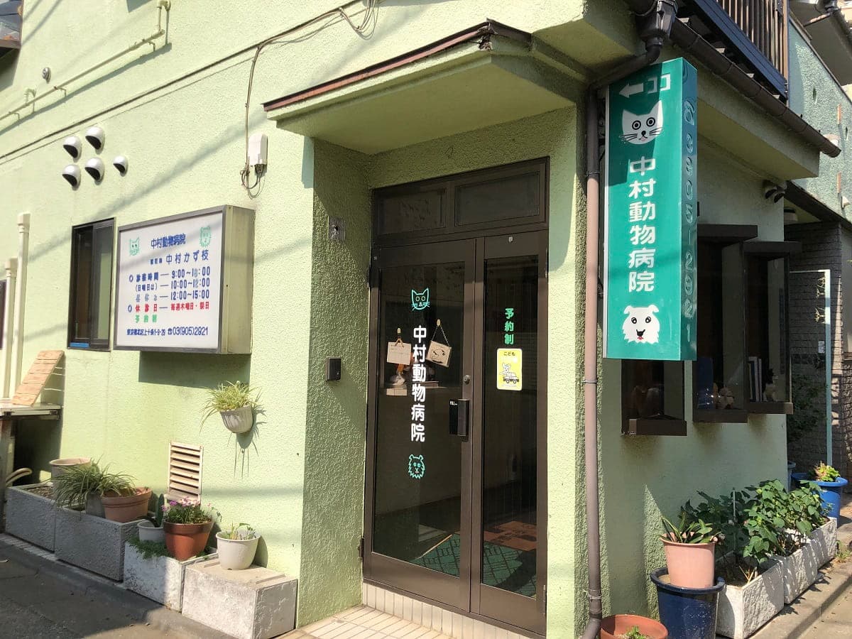 中村動物病院