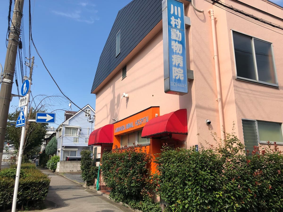 川村動物病院