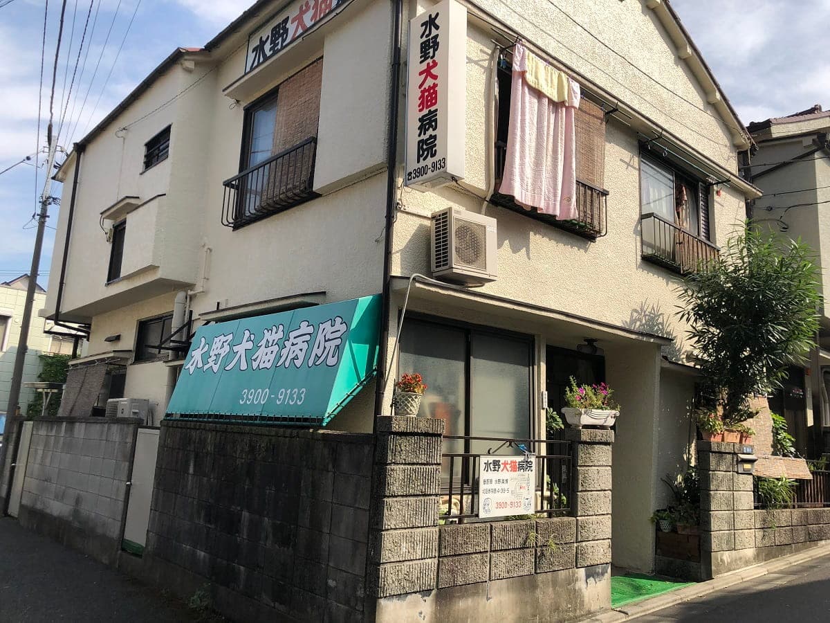 水野犬猫病院