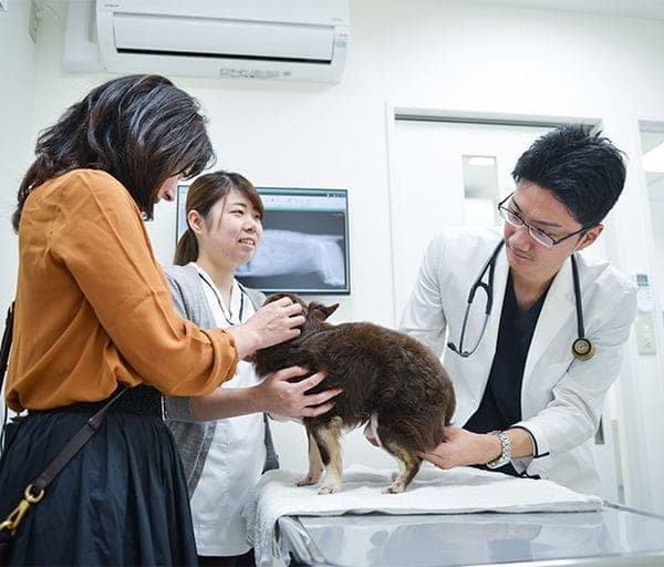木場きたむら動物病院