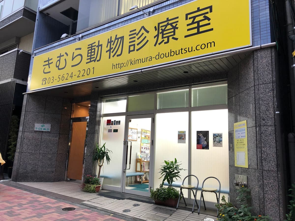 きむら動物診療室