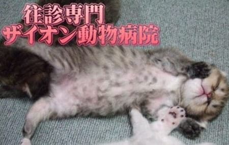 往診専門ザイオン動物病院