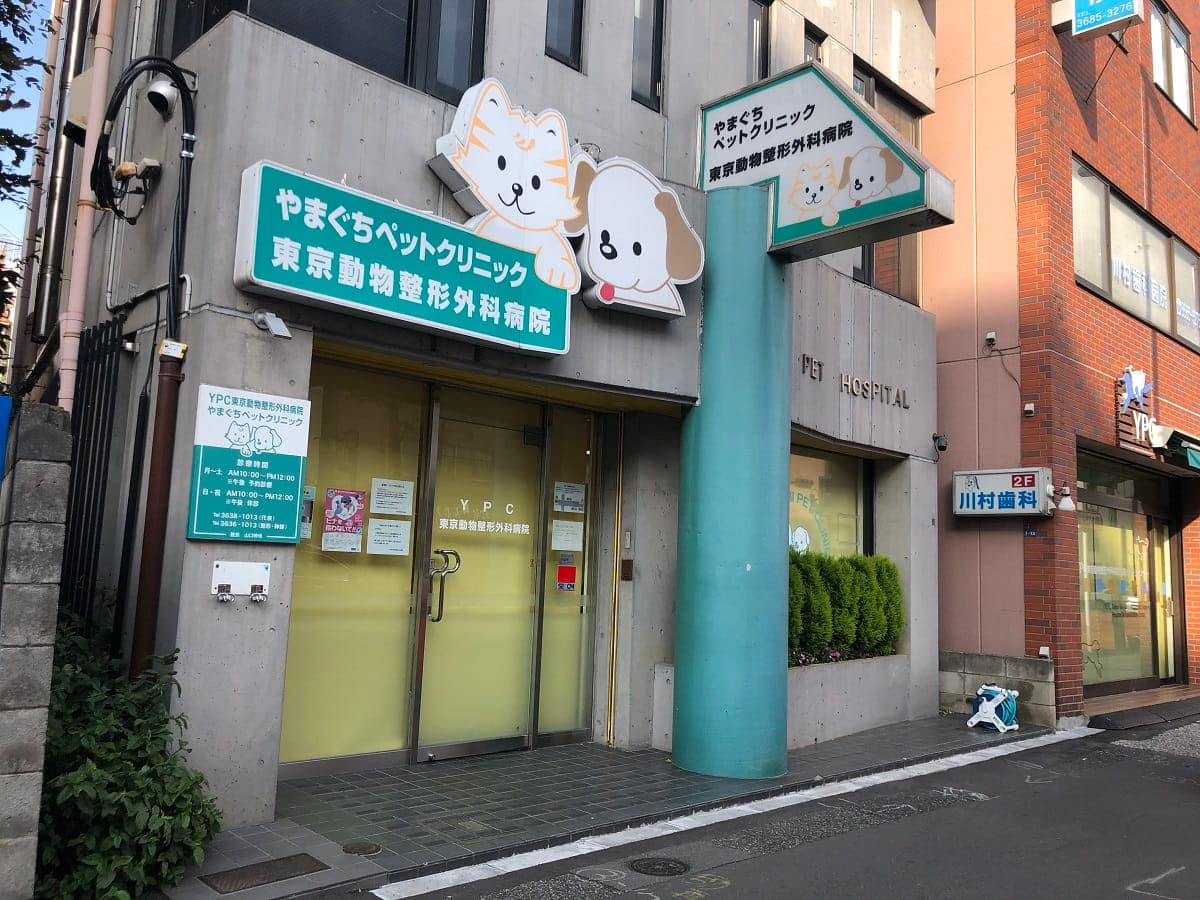 やまぐちペットクリニック