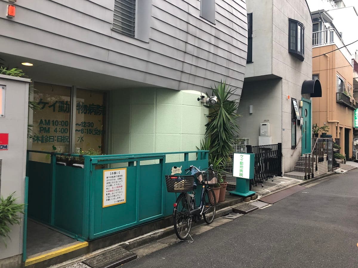 ケイ動物病院
