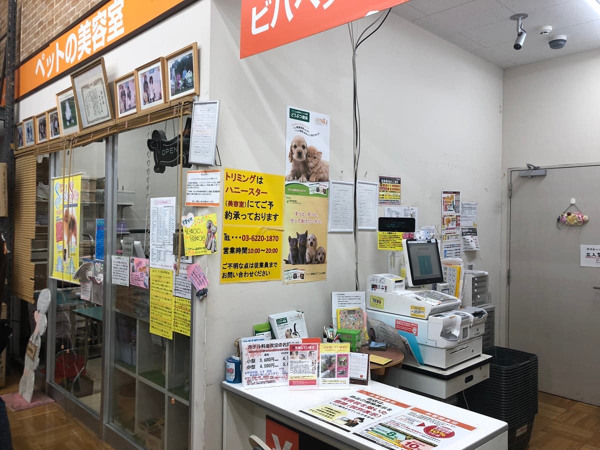 ビバペッツロイヤルドッグサロン豊洲店