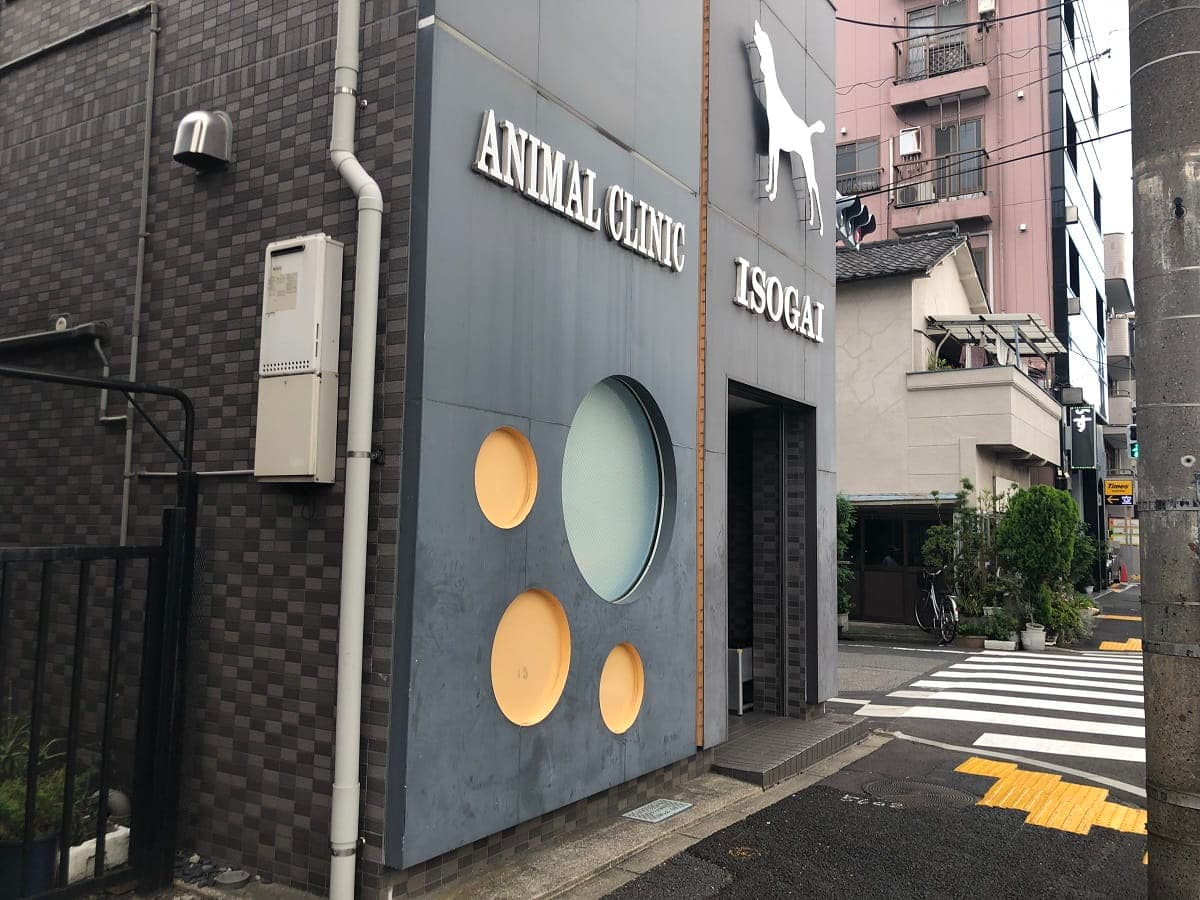 磯貝動物病院
